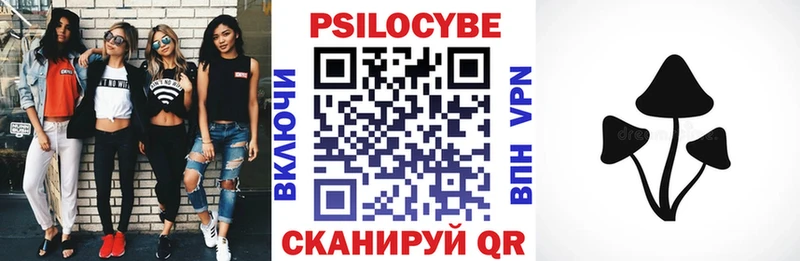 Купить  Чапаевск  Псилоцибиновые грибы ЛСД 