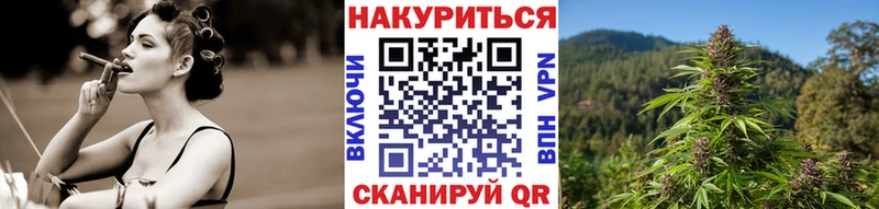 Бошки Шишки план  Купить где  Чапаевск 